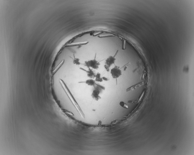 X0000112820808200909111321