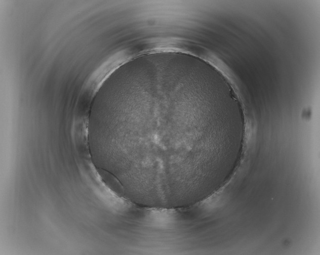 X0000112820809200909111321