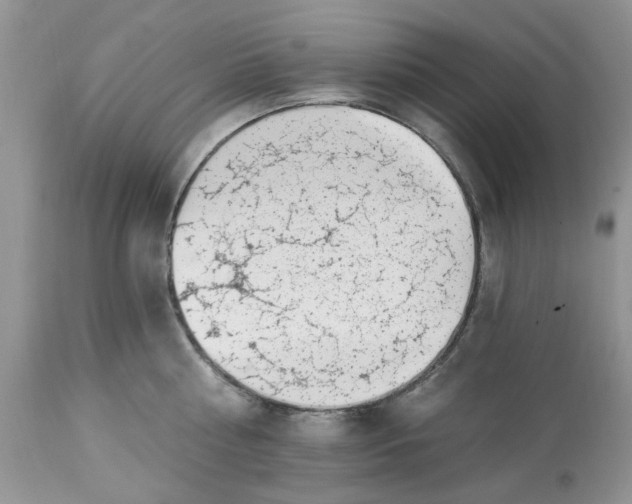 X0000112820810200909111321