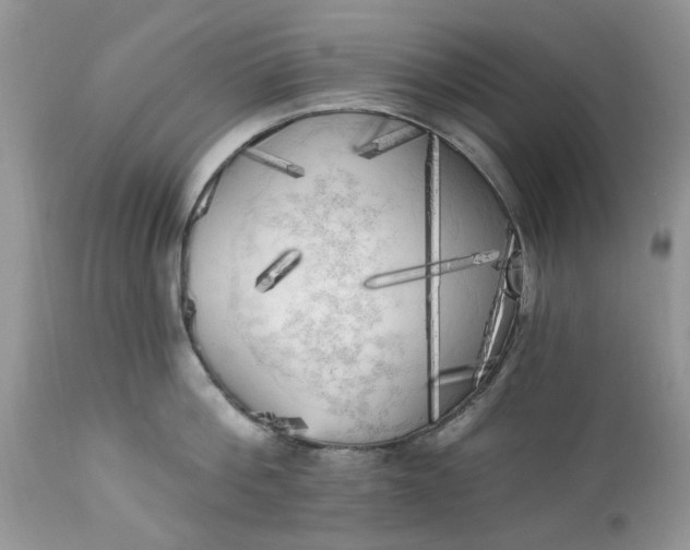 X0000112820812200909111321