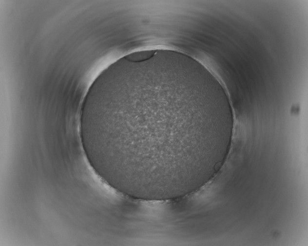 X0000112820813200909111321