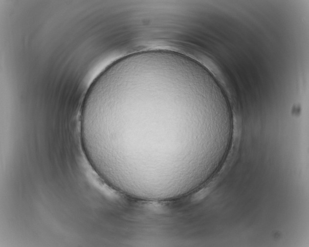 X0000112820814200909111321