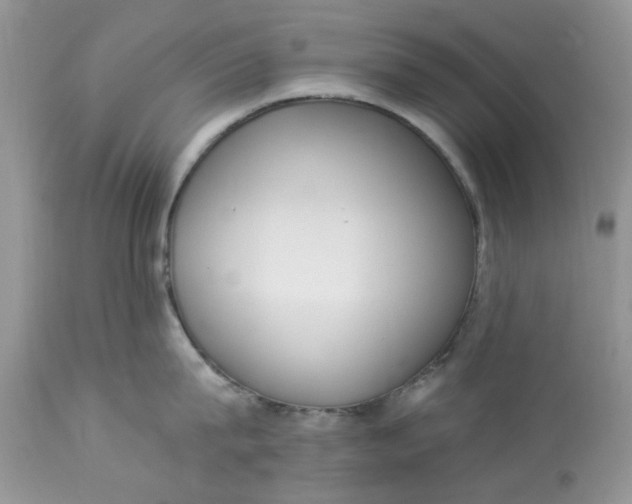 X0000112820815200909111321