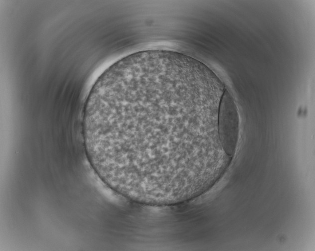 X0000112820816200909111321