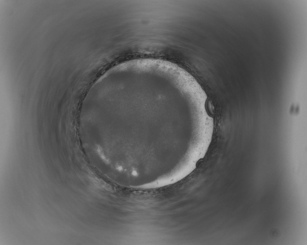 X0000112820817200909111320