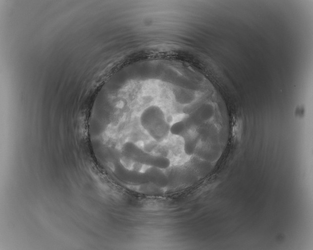 X0000112820819200909111320