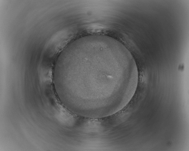 X0000112820820200909111320