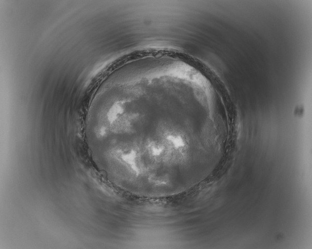 X0000112820823200909111320