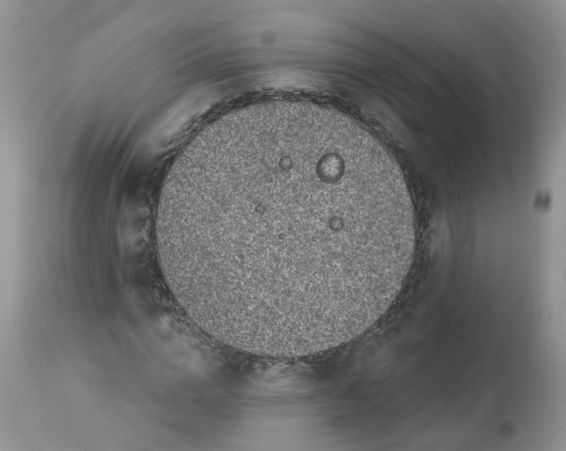 X0000112820824200909111320