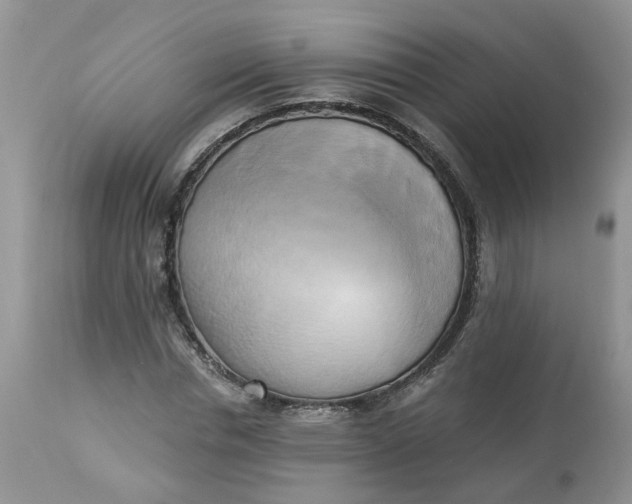 X0000112820826200909111320