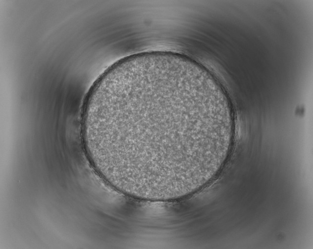 X0000112820828200909111320