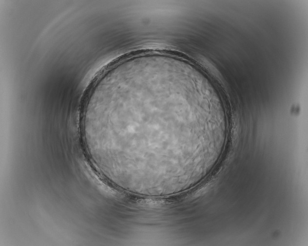 X0000112820831200909111320