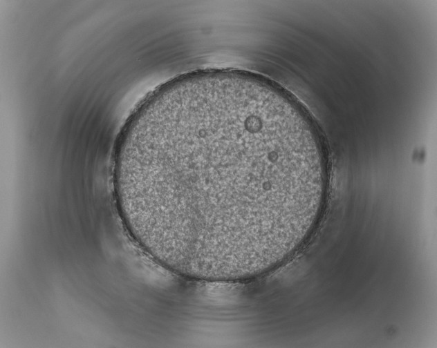 X0000112820832200909111320