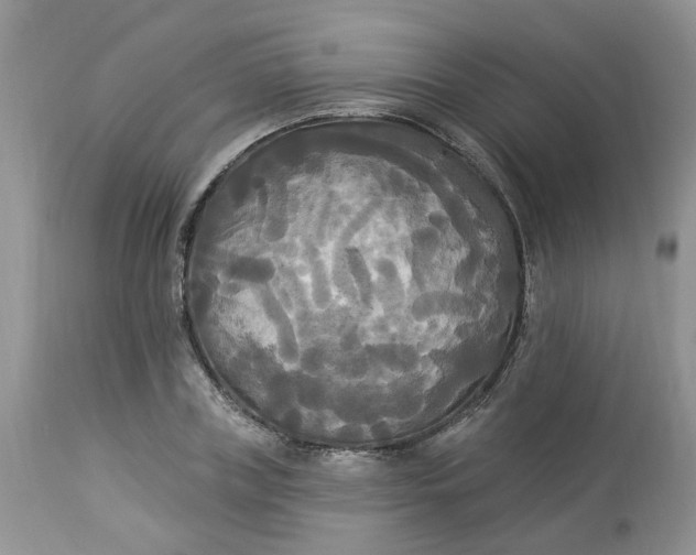 X0000112820835200909111320