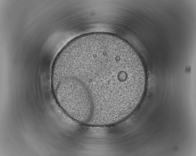 X0000112820836200909111320