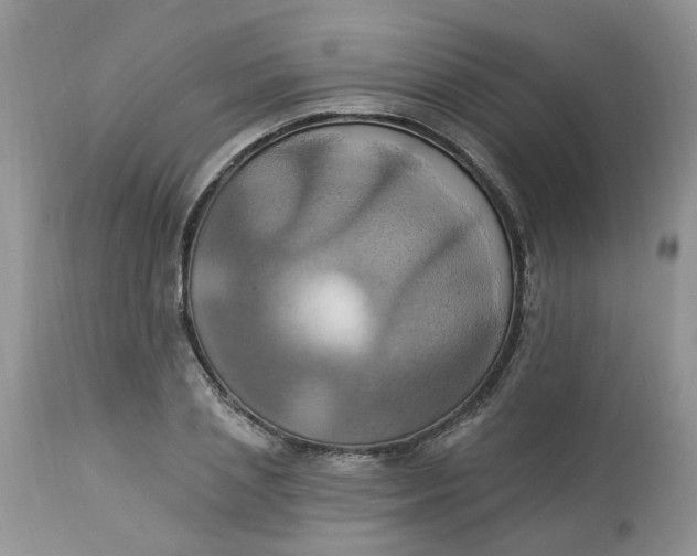 X0000112820837200909111320