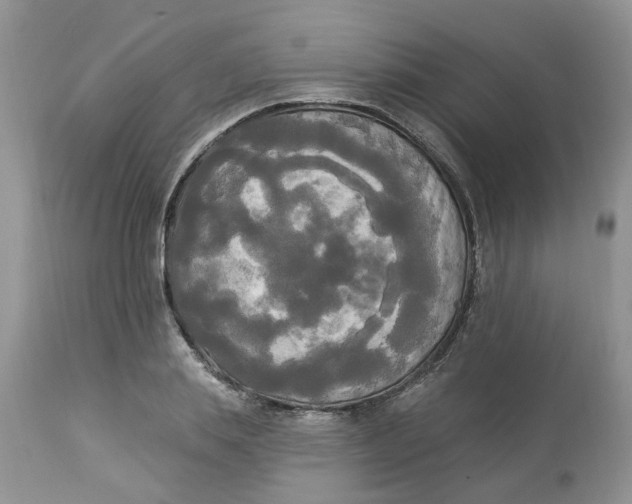 X0000112820839200909111320