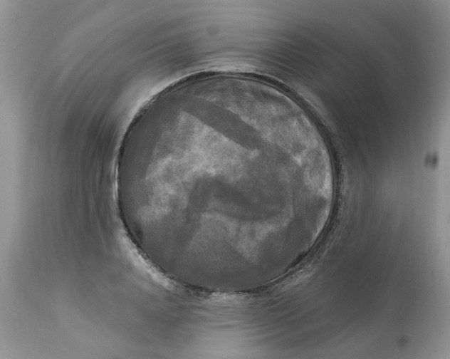 X0000112820840200909111320