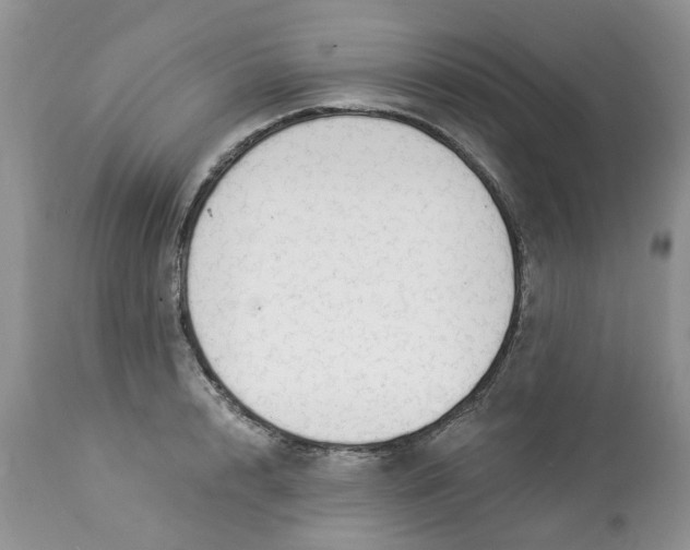 X0000112820848200909111321