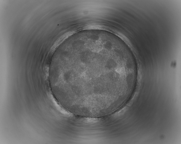 X0000112820849200909111321