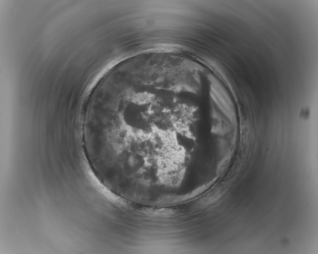 X0000112820851200909111321