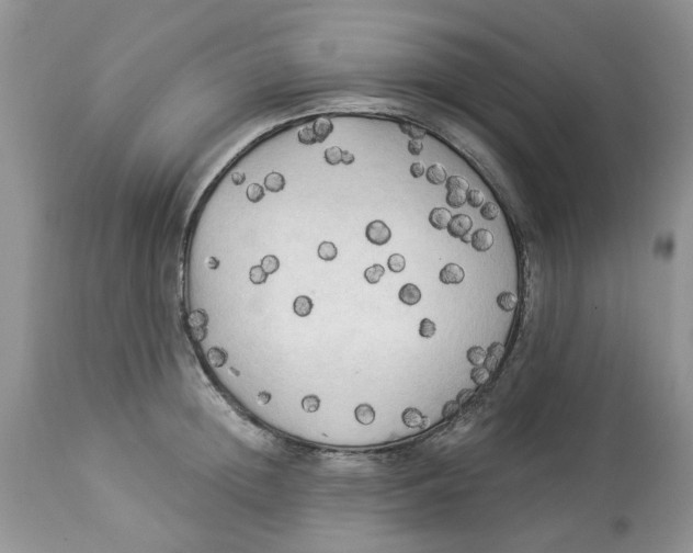 X0000112820852200909111321