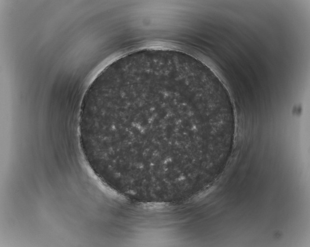 X0000112820853200909111321