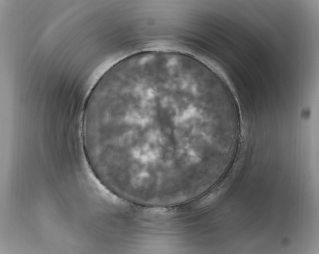 X0000112820855200909111321