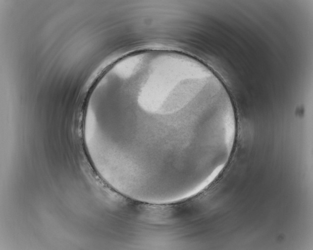 X0000112820856200909111321