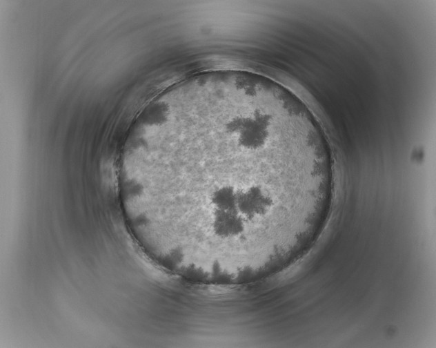 X0000112820857200909111321