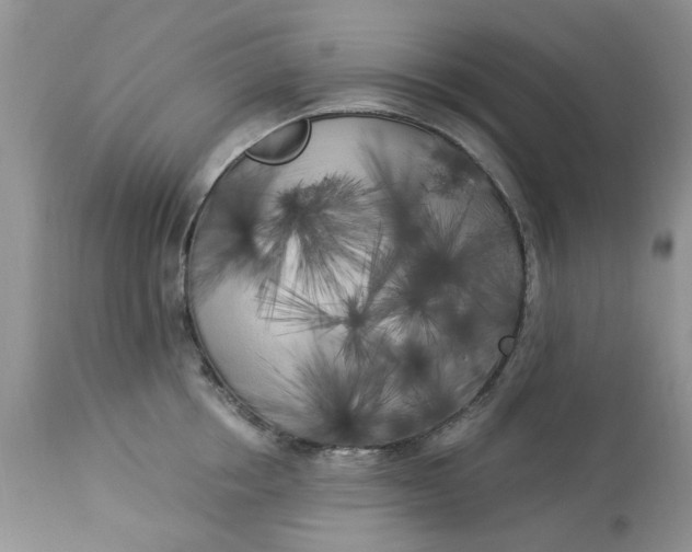 X0000112820858200909111321