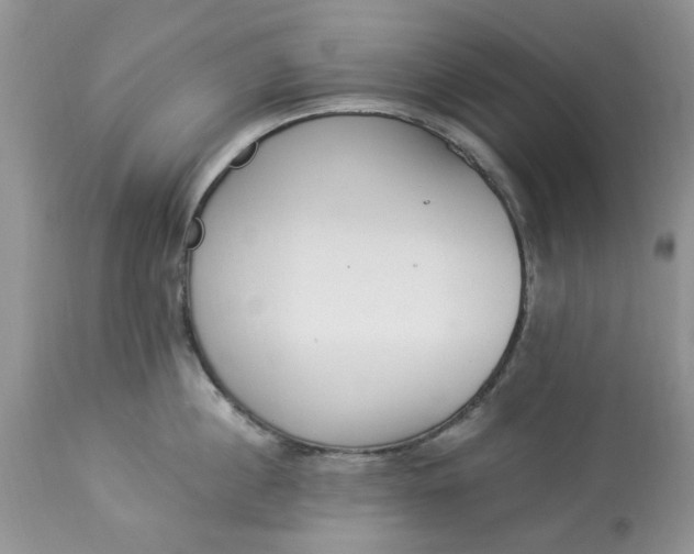 X0000112820860200909111321