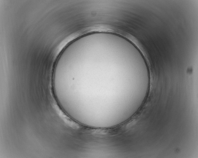 X0000112820861200909111321