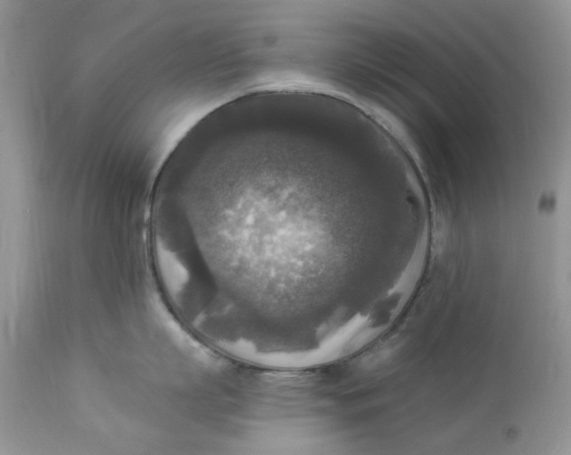 X0000112820863200909111321