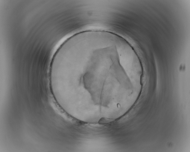 X0000112820864200909111321