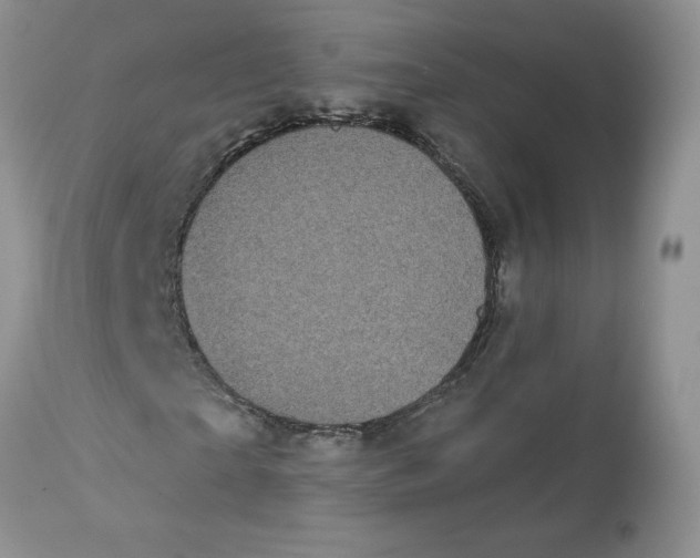 X0000112820865200909111320