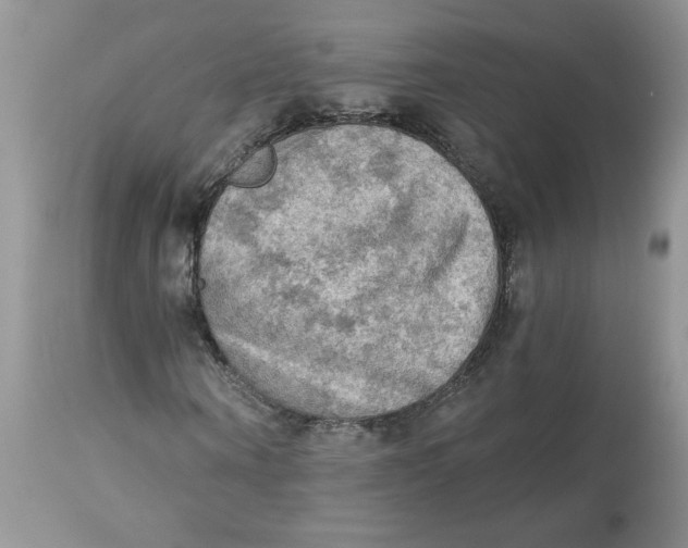 X0000112820866200909111320