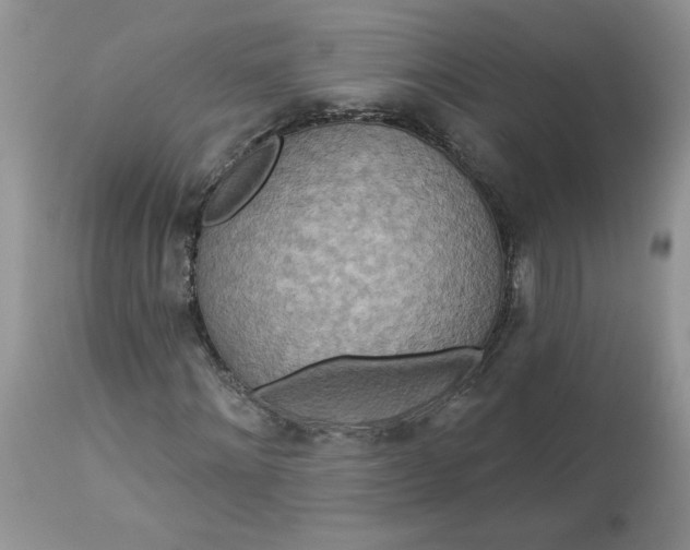 X0000112820868200909111320