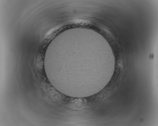 X0000112820869200909111320