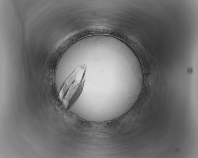 X0000112820870200909111320