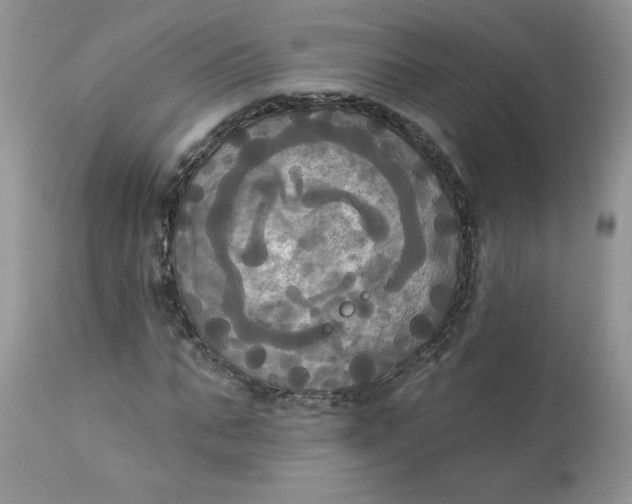 X0000112820871200909111320