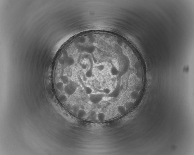 X0000112820875200909111320