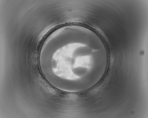 X0000112820878200909111320