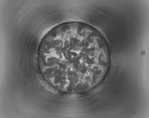 X0000112820879200909111320