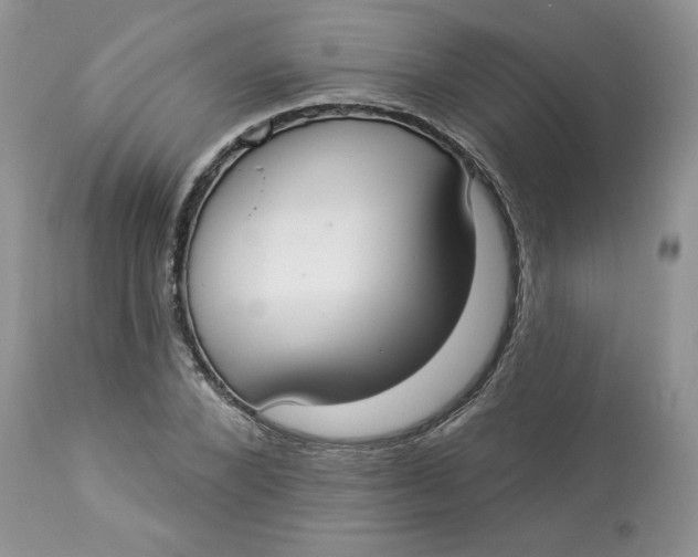 X0000112820880200909111320