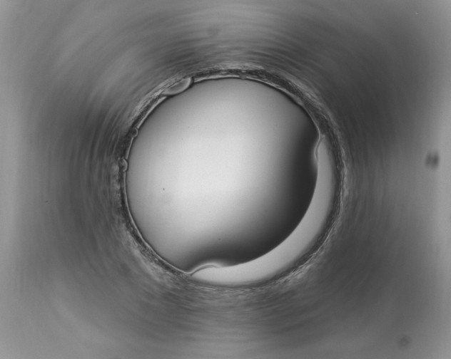 X0000112820881200909111320