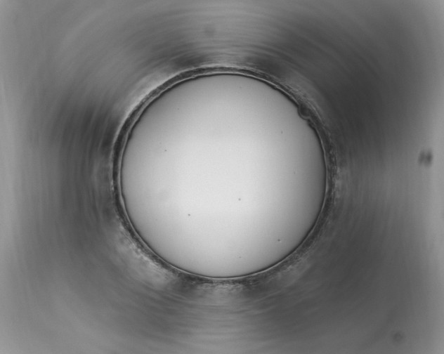 X0000112820884200909111320