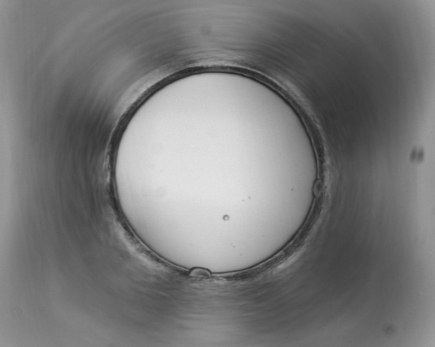 X0000112820885200909111320