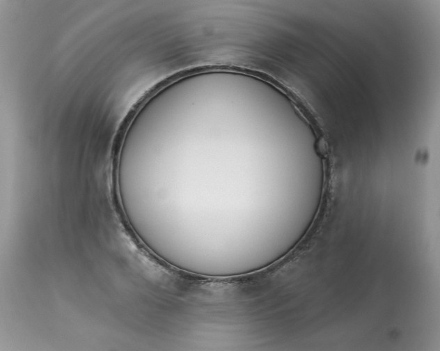 X0000112820888200909111320