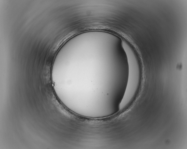 X0000112820889200909111320